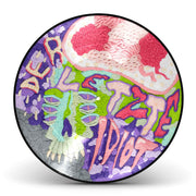 Der letzte Idiot (Anniversary Picture Disc Vinyl)